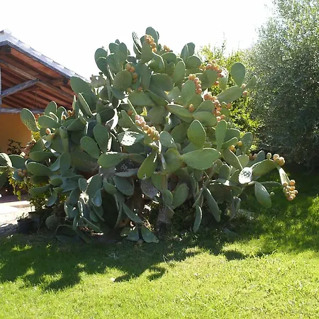 Torrette Etrusche 3*