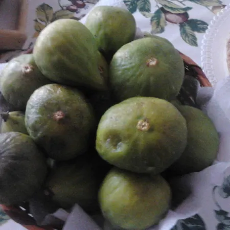 Bed & Breakfast Torrette Etrusche