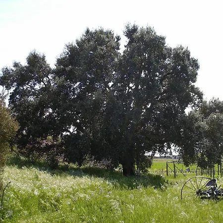 B&B Torrette Etrusche