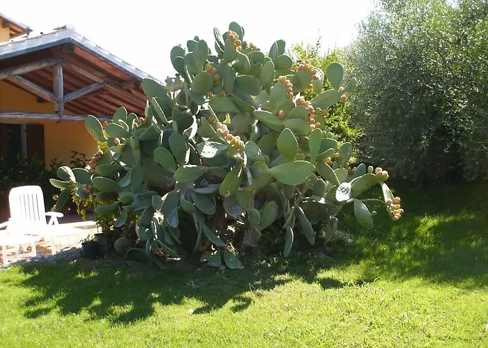 Torrette Etrusche 3*