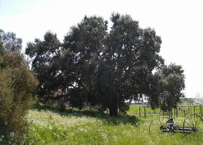 B&B Torrette Etrusche