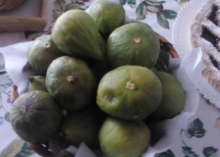 Alojamento de Acomodação e Pequeno-almoço Torrette Etrusche